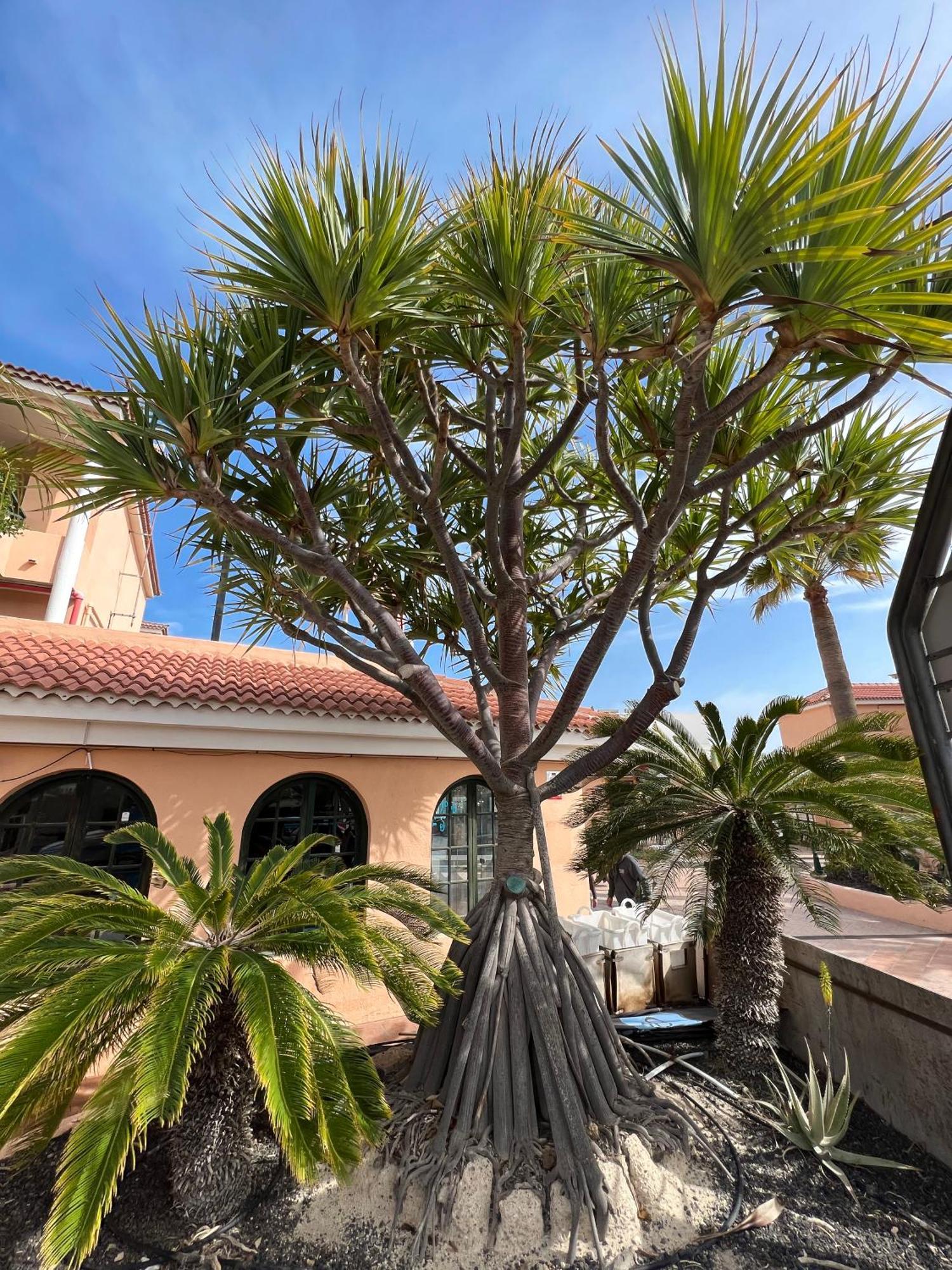 Paz Ocean View, Air Condition, Wifi, Heated Pool Apartamento