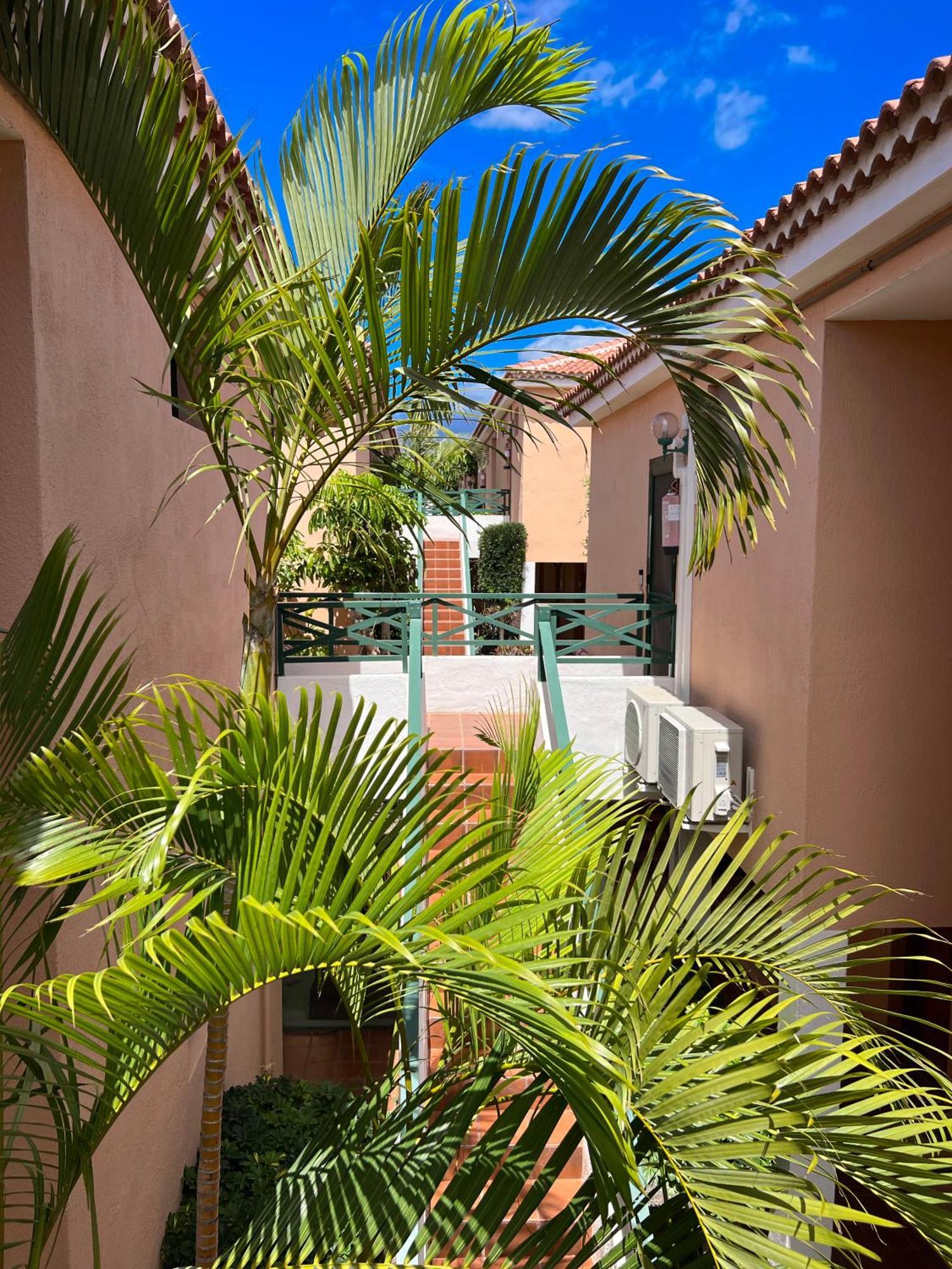 Paz Ocean View, Air Condition, Wifi, Heated Pool Apartamento San Miguel de Abona