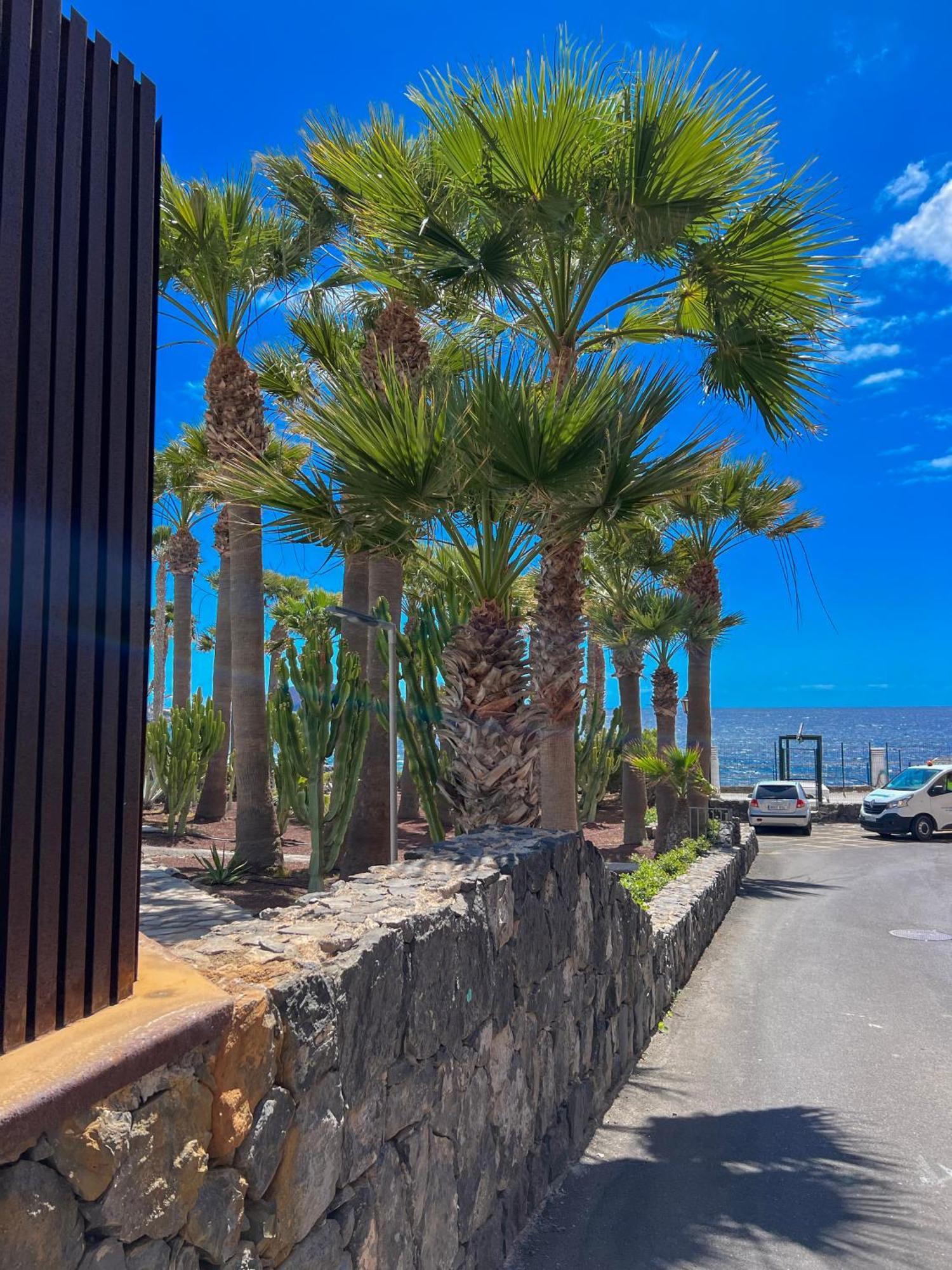 Apartamento Paz Ocean View, Air Condition, Wifi, Heated Pool